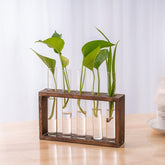 Nounas Transparent Flower Glass Pot Home Vase Plant Decor